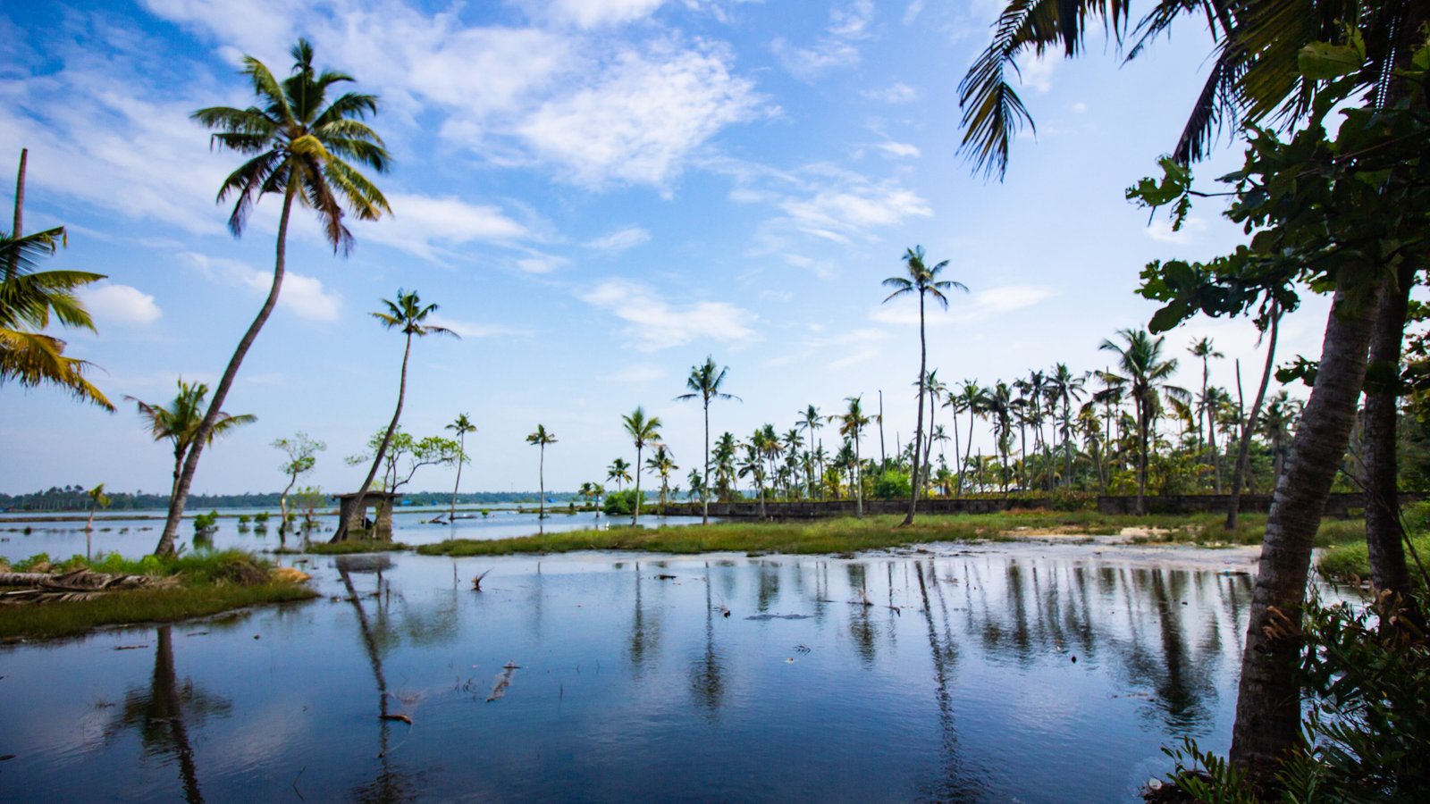 Munnar Alleppey Kerala Escape