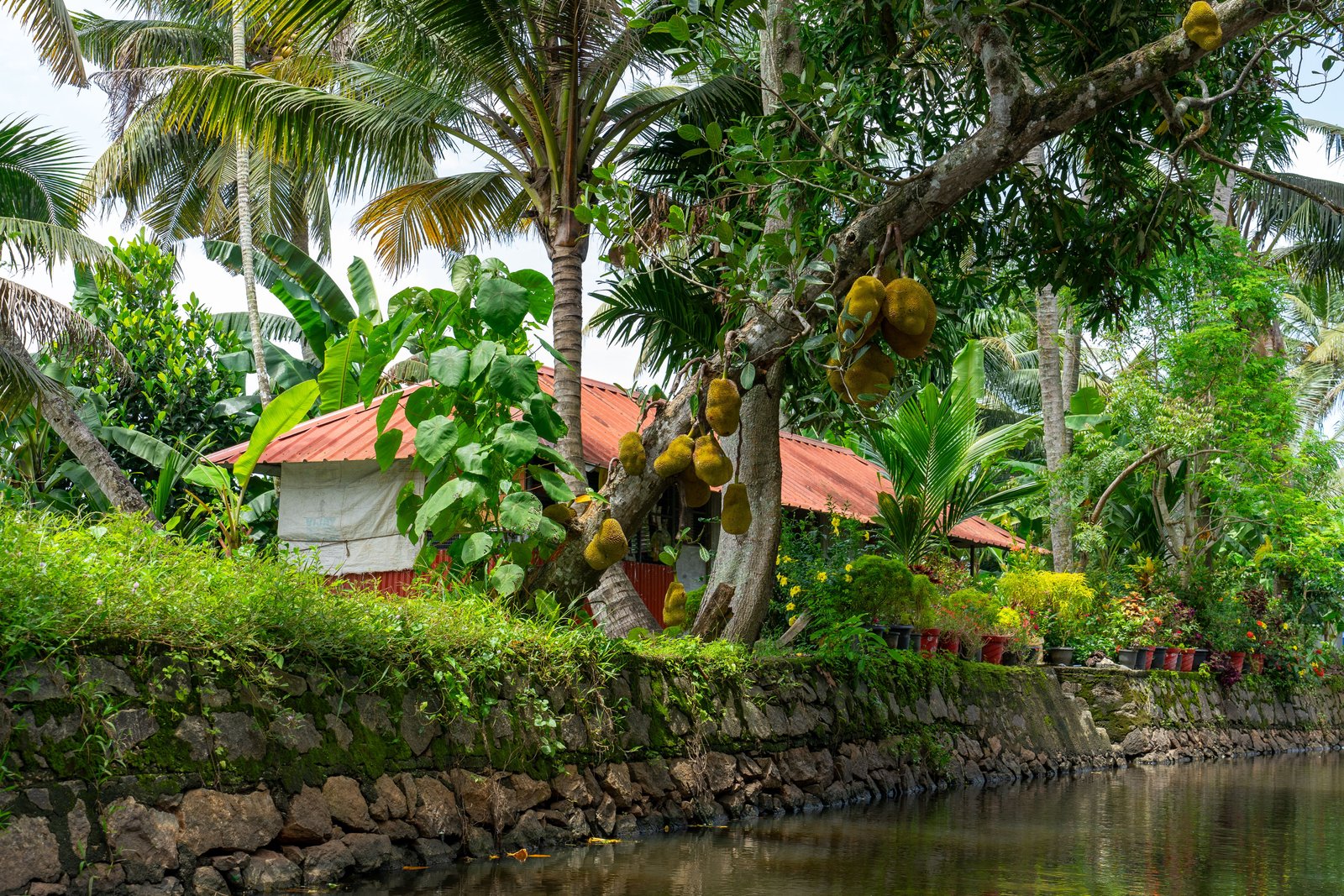 Kerala Family Holiday