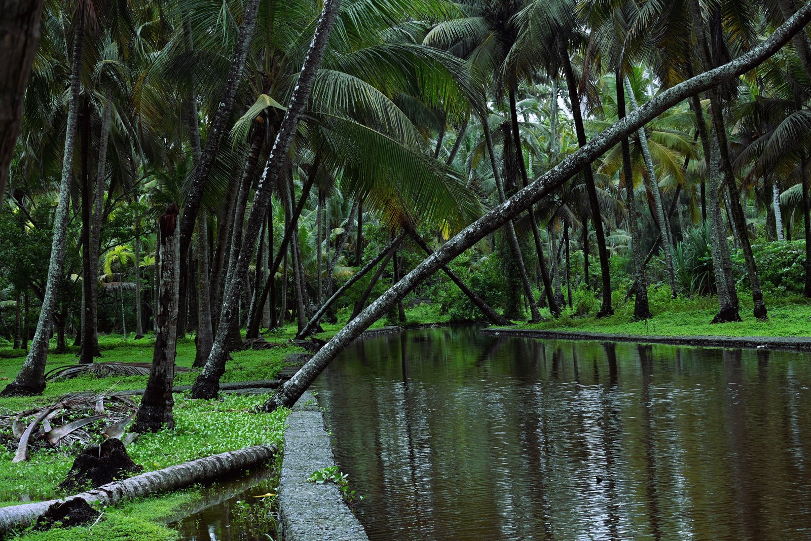 Kerala Backwaters & Houseboat Tour