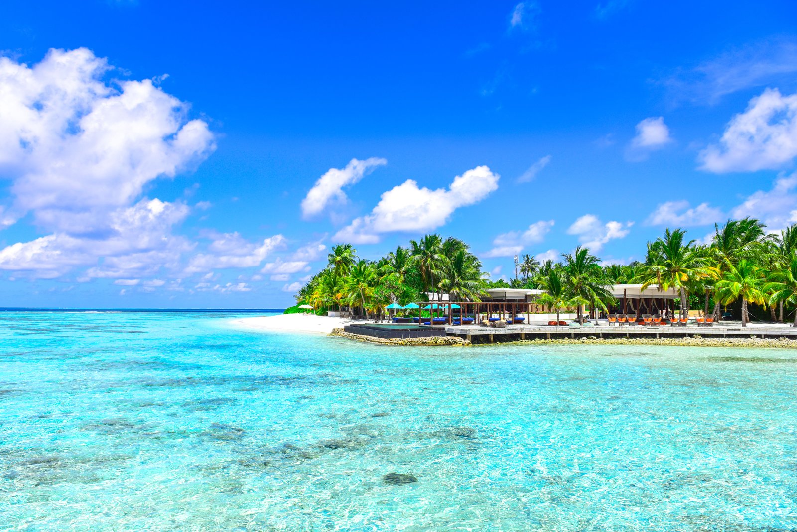 Coral Reef Snorkeling
