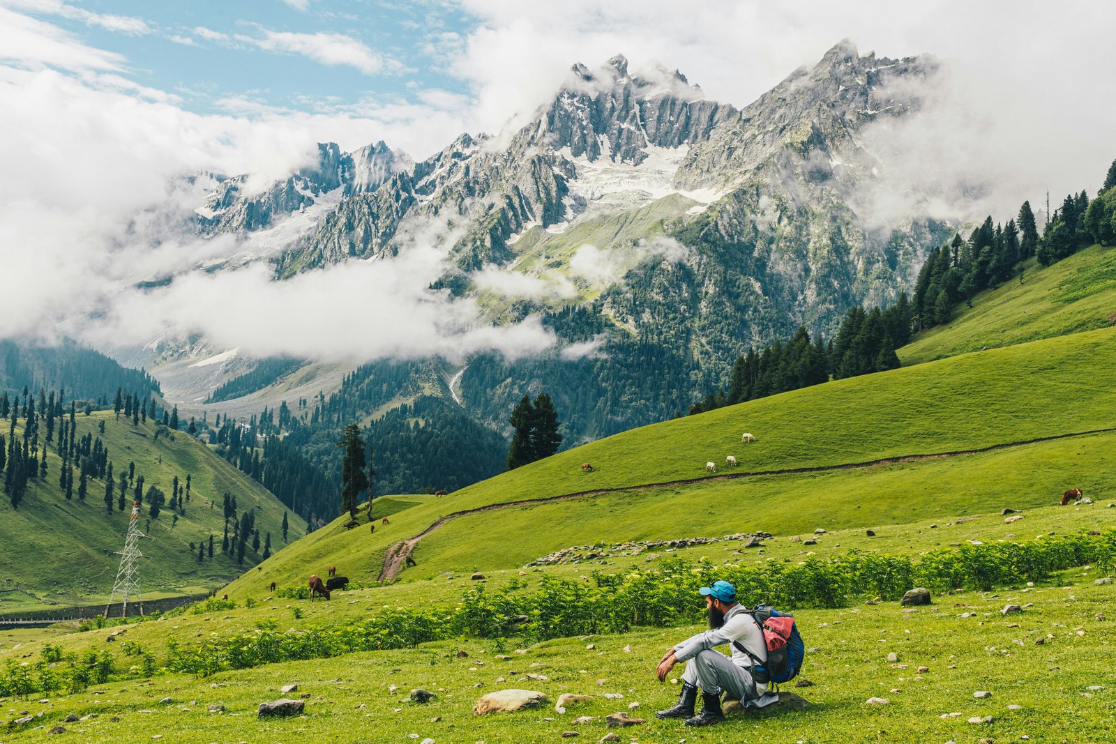 Kashmir Golden Triangle Tour