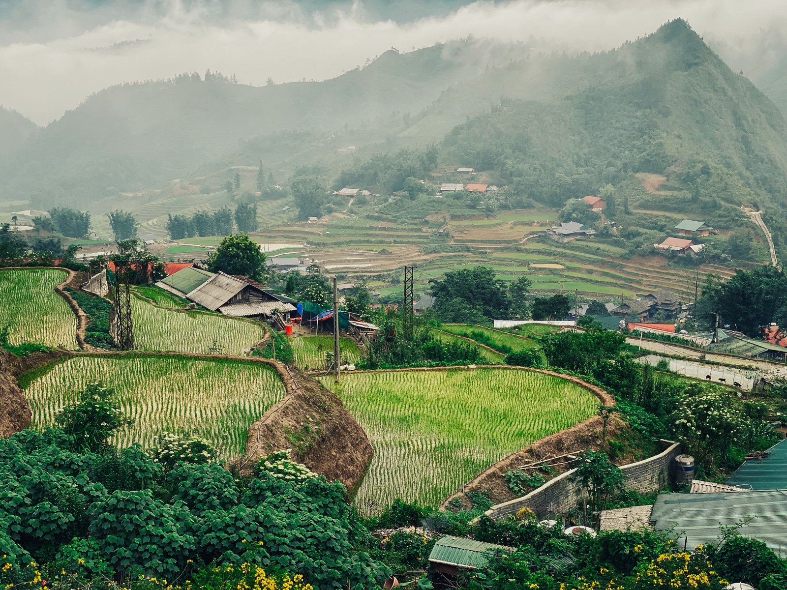 Vietnam